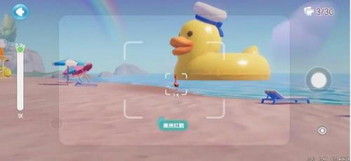 心动小镇鸟类在哪里出现