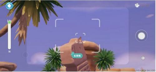 心动小镇鸟类在哪里出现