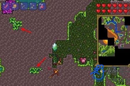 泰拉瑞亚叶绿锭合成制作攻略