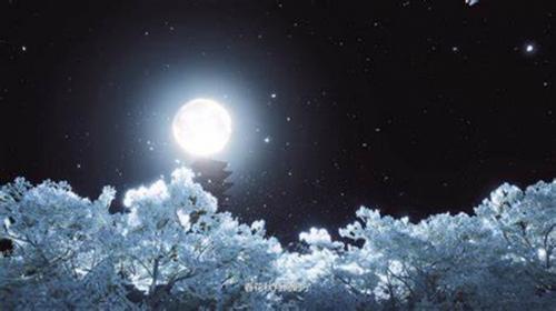 燕云十六声短陌钱获得攻略