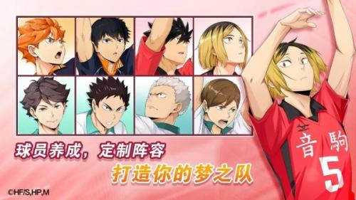 排球少年新的征程岩泉一详细介绍