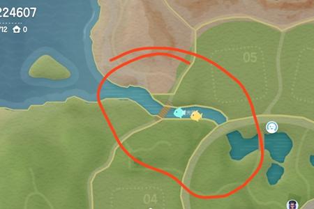 心动小镇1至8级鱼类分布位置介绍