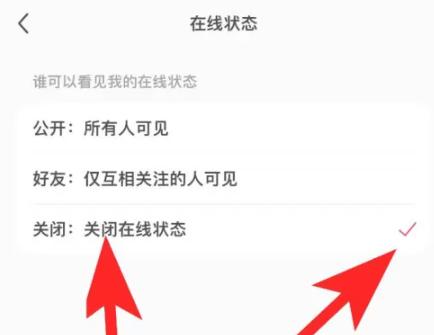 小红书怎么隐藏在线状态