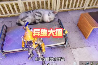 七日世界异维大猫获取方法