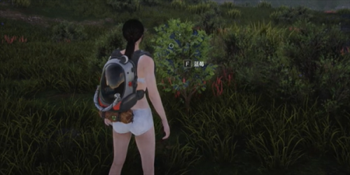 七日世界蓝莓采集地点