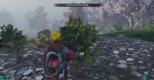 七日世界蓝莓采集地点