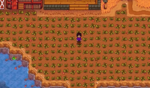 星露谷物语春天保地技巧