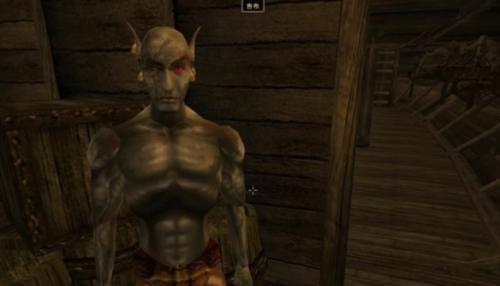 上古卷轴3审判席游戏闪退怎么办