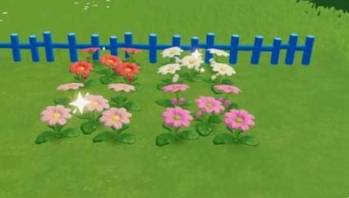 心动小镇生菜成熟时间一览