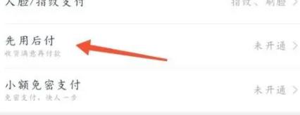 淘宝的先用后付在哪里开启
