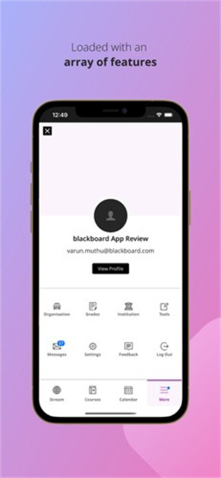 blackboard教学平台截图2