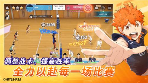 排球少年新的征程笹谷武仁强度介绍