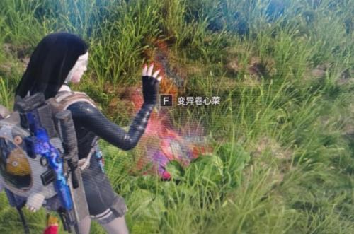 七日世界变异植物获取位置在哪