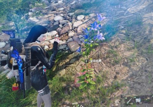 七日世界变异植物获取位置在哪