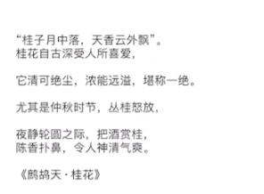 微信朋友圈怎么发不折叠的纯文字