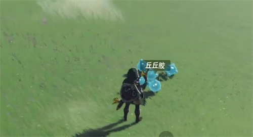 塞尔达传说王国之泪丘丘胶属性转换方法