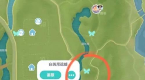 心动小镇白斑尾梳蜂出现点位