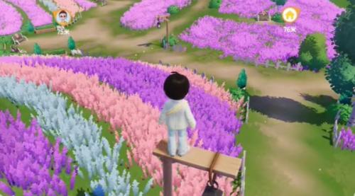 心动小镇花田采景攻略