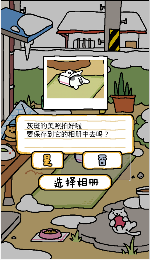 猫咪后院2截图2