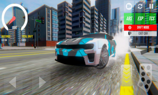 印度汽车模拟器截图2