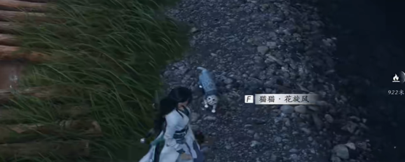 《燕云十六声》猫猫花旋风位置介绍