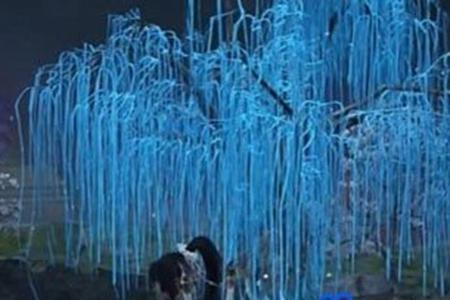 永劫无间手游龙隐洞天愈柳位置介绍