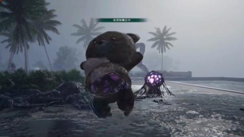 七日世界动物刷新位置