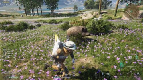 七日世界动物刷新位置