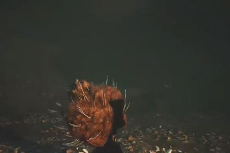 黑神话悟空石苍苍图鉴介绍