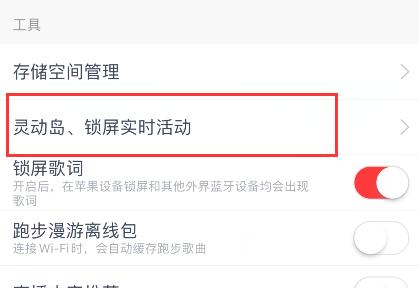 网易云音乐怎么开启灵动岛实时歌词