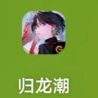 归龙潮查看渠道服的方法