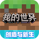我的世界王国复兴小立同款