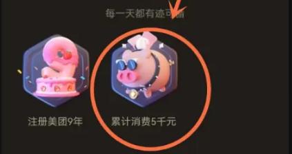 美团消费总额在哪里查看