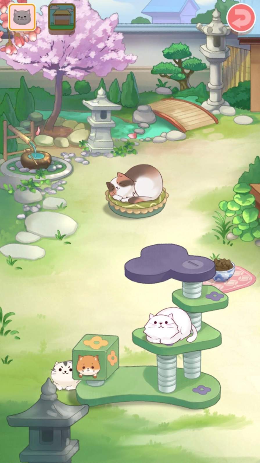 猫宅日记截图1