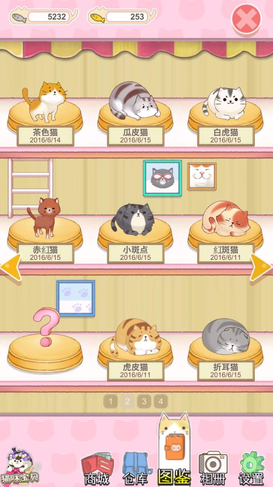猫宅日记截图3