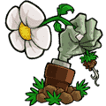 植物大战僵尸融合版2025
