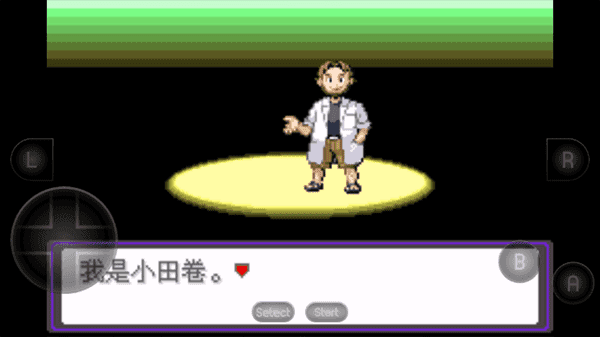 口袋妖怪漆黑的魅影5.0ex+bw版截图1