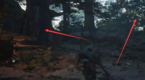 黑神话悟空黄花观虎蛇虫林攻略