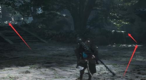 黑神话悟空黄花观虎蛇虫林攻略