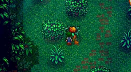 星露谷物语金核桃直接买情况介绍