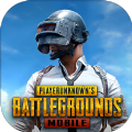 PUBG低配版