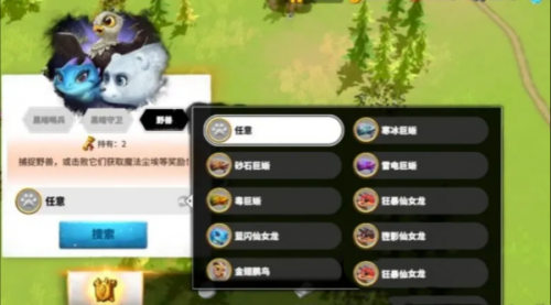 万龙觉醒狂暴仙女龙介绍