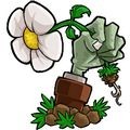 植物大战僵尸Free版汉化版