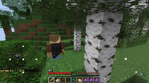 烦人的村民整合包5.0截图2