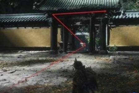 黑神话悟空猴头菌种子获取方法