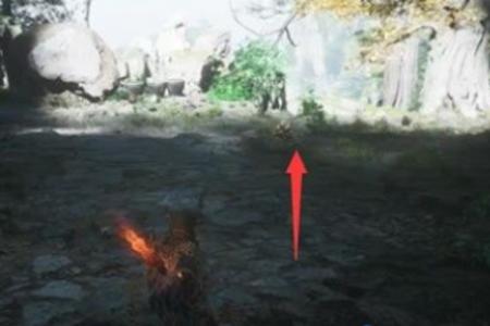 黑神话悟空猴头菌种子获取方法