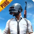 pubg龙珠联动