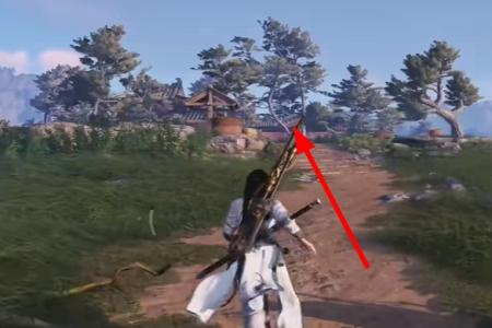 燕云十六声猫猫大头位置介绍