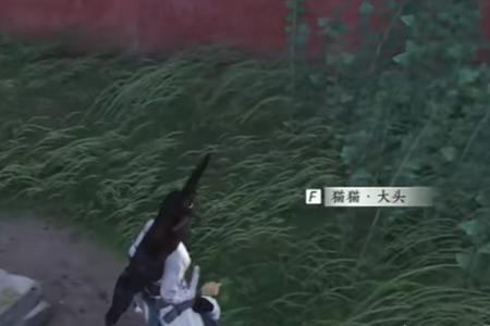 燕云十六声猫猫大头位置介绍