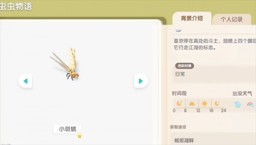 心动小镇小斑蜻捕捉地点